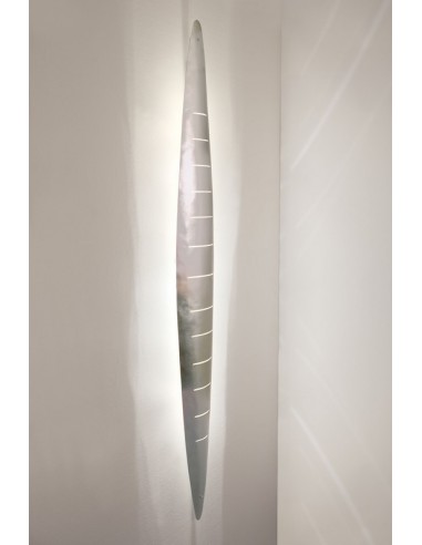 APPLIQUE ÉPI D'ARGENT - 150 CM