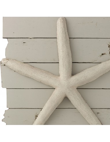 DECORATION MURALE - ÉTOILE DE MER
