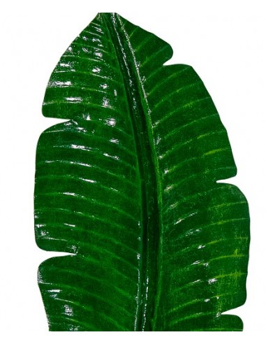 Décoration murale - Feuille de bananier verte