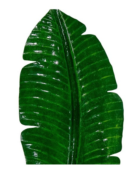 Décoration murale - Feuille de bananier verte