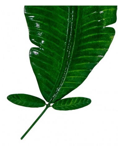 Décoration murale - Feuille de bananier verte